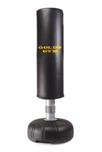 Gold's Gym Tube Trainer